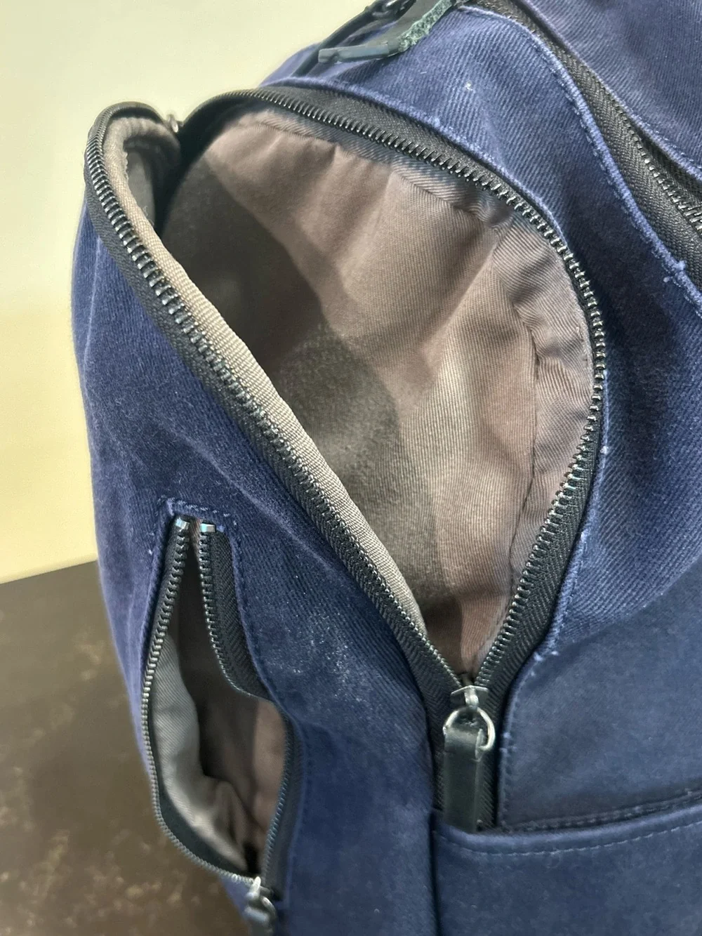 Everlane Modern Commuter Canvas Backpack